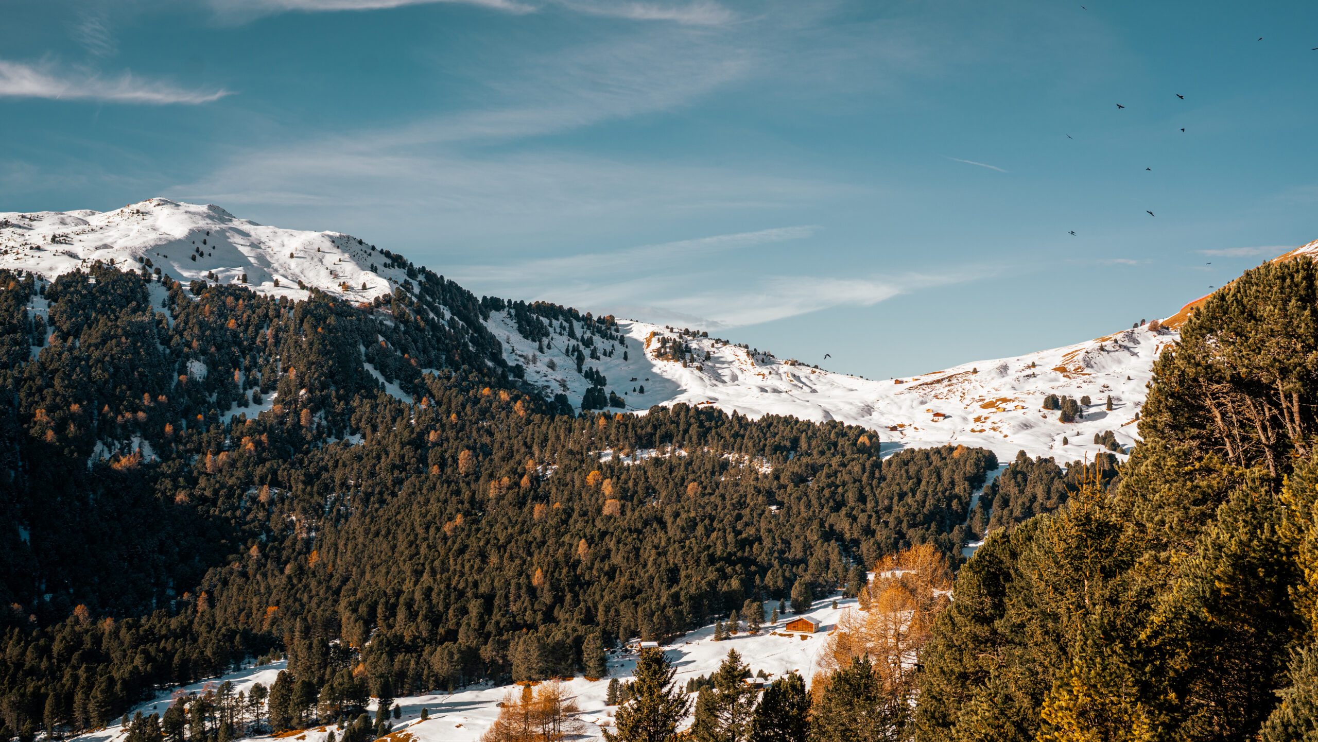 DOLOMITY